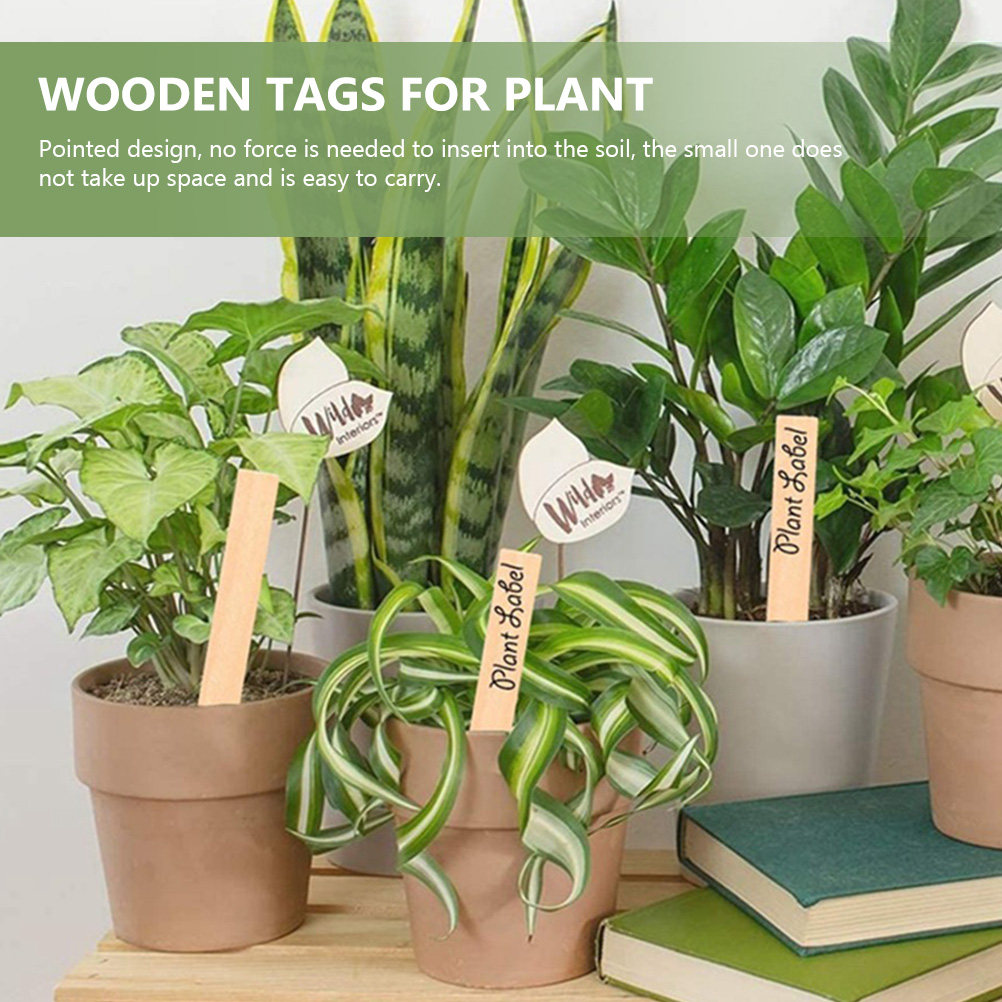 Bonsai Garden Nursery - 50 قطعة من بطاقات تعريف النباتات