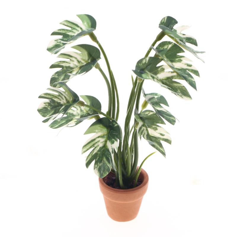Bonsai Garden Decor - جديد. نموذج نبات مونستيرا أخضر محاكي