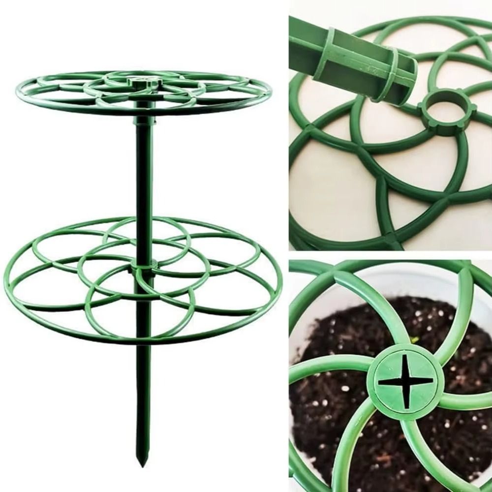 إطار تسلق جديد للنباتات الصغير - مراجعة Bonsai Garden Stand وسعره
