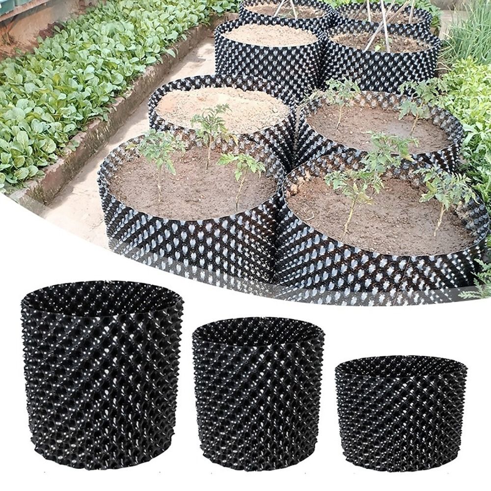 طقم واحد متين وسريع التركيب من - مراجعة Bonsai Garden Nursery وسعره