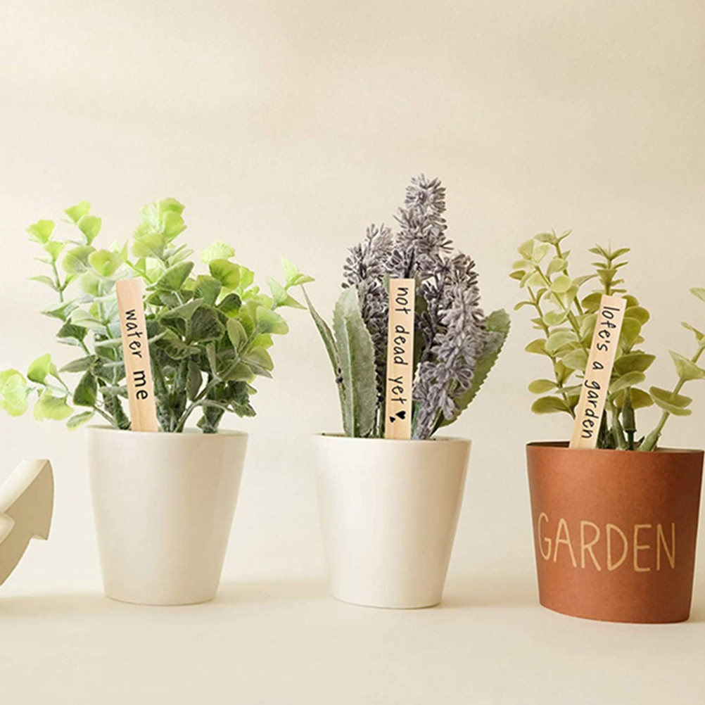 50 قطعة من بطاقات تعريف النبات - مراجعة Bonsai Garden Nursery وسعره