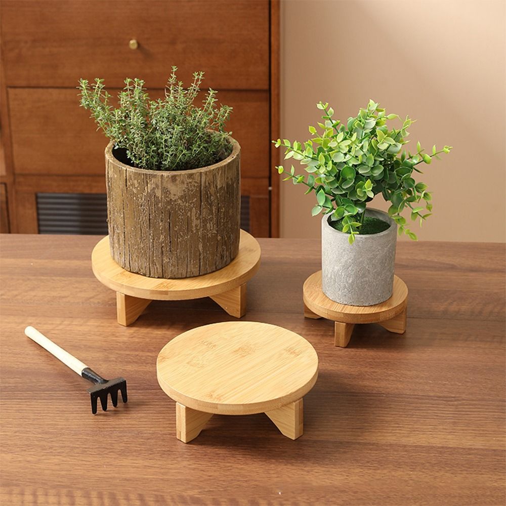 حامل عرض بونساي خشبي، لوازم ال - مراجعة Bonsai Garden Stand وسعره