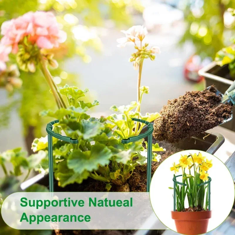 دعامة نباتات الحديقة، حامل زهو - مراجعة Bonsai Garden Stand وسعره