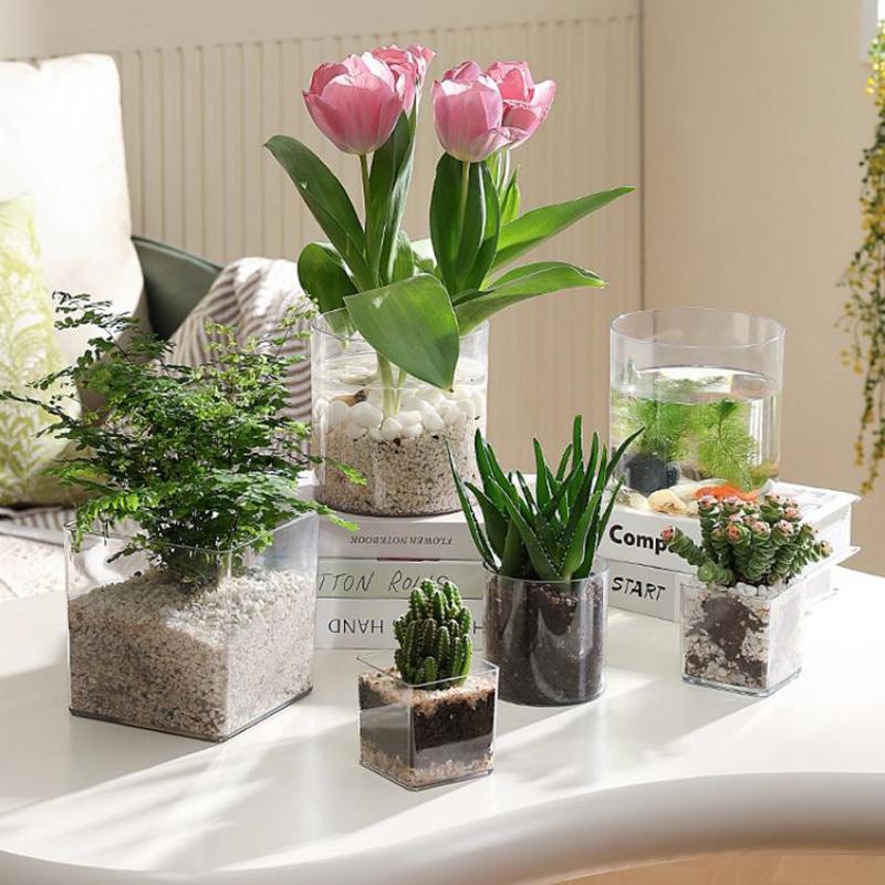 أواني زراعة الزهور الشفافة الم - مراجعة Bonsai Garden Nursery وسعره
