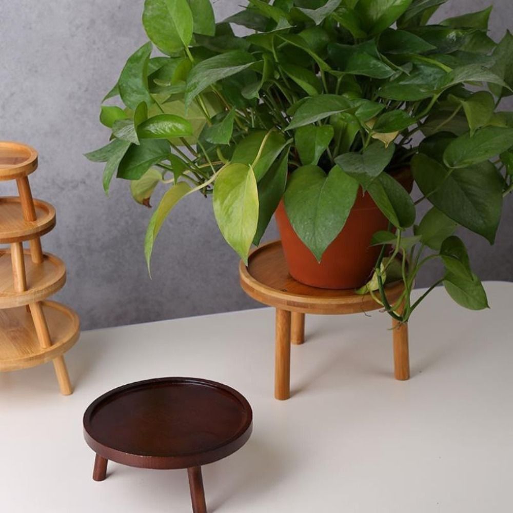 حامل زهور إبداعي متين للنباتات - مراجعة Bonsai Garden Stand وسعره
