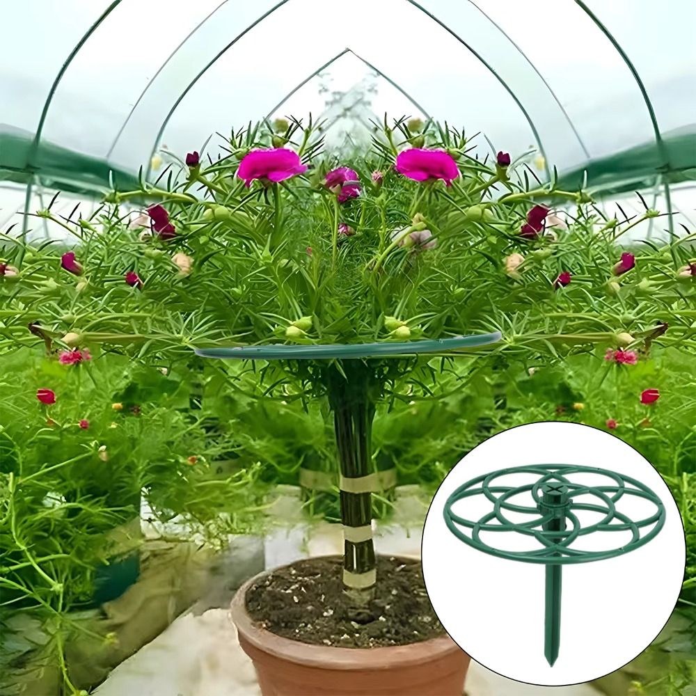 إطار تسلق البونساي من البلاستي - مراجعة Bonsai Garden Stand وسعره