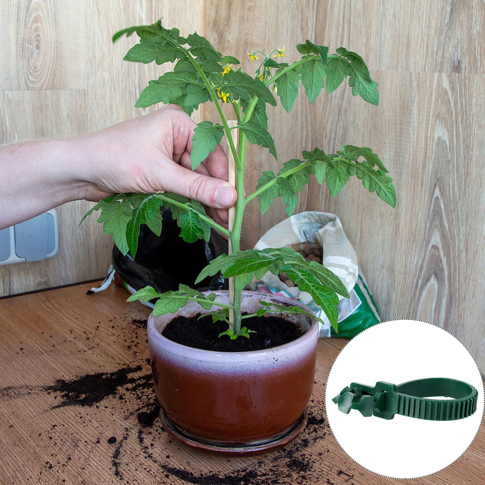 20 قطعة مشبك تثبيت للنباتات، م - مراجعة Us Bonsai Garden وسعره