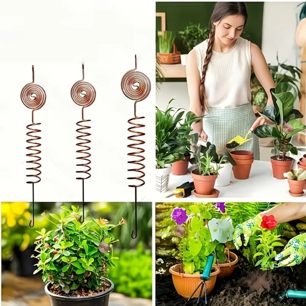3 قطع من أوتاد النحاس الكهربائ - مراجعة Bonsai Garden Stand وسعره